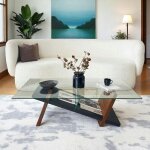 Table basse verre et bois brun - fonction porte - revues lhasa