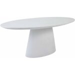 Table de jardin ovale effet b�ton lisse 8 places 200x110 cm blanc