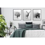 Tableau encadr 73x53cm triptyque ensemble de 3 tableaux animaux cerf bison p1021