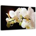 Tableau sur toile orchide blanche fleur nature 100x70