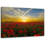 Tableau sur toile, prairie de coquelicots rouges au soleil - 100x70 Tableau sur toile, prairie de coquelicots rouges au soleil - 100x70