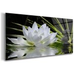 Tableau sur verre ? 100 x 50 cm - tableau mural d�coratif - verre d�corative - fleur de lotus