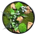 Tableau vgtal mural stabilis rond 35cm