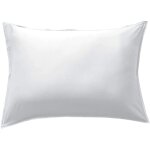 Terre de nuit - taie d'oreiller en bambou 50x70 cm blanc