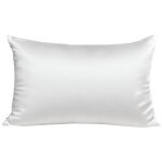 Taie d'oreiller - inphysio - soie m�rier 22 mommes - hypoallerg�nique - anti - rides - 50 x 70 cm - blanc ...