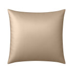Taie d?oreiller en soie anti frisotti et anti - �ge taupe 65x65 cm