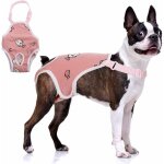 Taille: m dog diaper culotte sanitaire avec suspension, pantalon physiologique pour animaux de compagnie, ... Taille: m dog diaper culotte sanitaire avec suspension, pantalon physiologique pour animaux de compagnie, ...