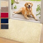 Tapis d'entr�e absorbant nasa beige 50 x 80 cm