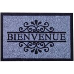 Tapis d'entrée anti - salissure bienvenue hdi Tapis d'entrée anti - salissure bienvenue hdi