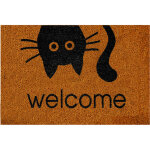 Tapis d'entr�e en noix de coco pour l'int�rieur - tapis naturel anti - salissures, r�sistant aux intemp�ries ...