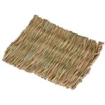 Tapis d'herbe pour les lapins , tapis d'herbe pour petit animal , hamster tapis d'herbe , tapis d'herbe ...