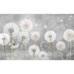 Tapis magn�tique pour cache radiateur pissenlits 60x100cm