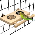 Tasse d'oiseau en acier inoxydable, porte - perche en bois, bol d'alimentation suspendu, alimentation ...