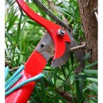 Telescopique cueille - fruits t�lescopique �brancheurs de jardinage coupe branche telescopique elagueuse ...