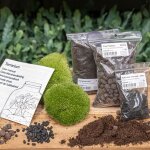Terrarium plantes kit s / m remplissage et d�marrage diy? comfortxl green