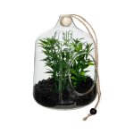 Terrarium � suspendre 'naly' 15cm vert