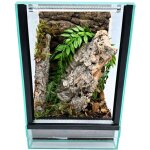 Terrarium en verre 20x20x30 cm ? �quipement pour araign�es arboricoles ? substrat de noix de coco et ...