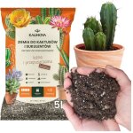 Terre pour cactus et succulentes - 5l - drenage optimal - keramzyt et perlite