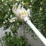 Tte de cueillette de fruits en plastique, panier profond, cueilleur de fruits, cueilleur de pommes et ...