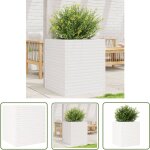The living store jardini�re blanc 60x60x68, 5 cm bois de pin massif - jardinier - pot de fleurs - jardinerie ...