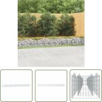 The living store - lit surlev  gabions arqu 600x50x50 cm fer galvanis - jardiniere en gabion - bordure ...