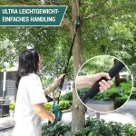 Lagueur sur perche sans fil, perches lagueuses lectrique, avec tube d'extension, batterie li - ion ...