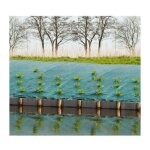 Toile de paillage paysages - vert 90 gr / m2 - 3, 3x5m