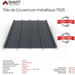 T�le bac acier - toiture - couverture - plaque tr25 coloris gris anthracite ral 7016 dimensions 2000x1110x0. ...
