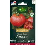 Tomate agora f1 - graines d'exception vilmorin