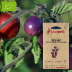 Tomate - cerise blue pitts