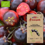 Tomate - cerise fahrenheit blues