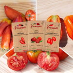 Tomates pour coulis - 3 sachets de graines bio � semer