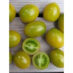 Tomate 'green grappe' le sachet de 100 graines