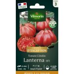 Tomate lanterna f1 - graines d'exception vilmorin Tomate lanterna f1 - graines d'exception vilmorin