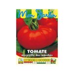 Tomate 'merveille des march�s' le sachet de 300 graines (1g)