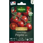 Tomate pépite f1 - graines d'exception vilmorin Tomate pépite f1 - graines d'exception vilmorin