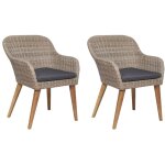 Torana - chaises d'extrieur et coussins lot de 2 rsine tresse marron