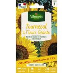 Tournesol  fleur gante + 50% offert vilmorin