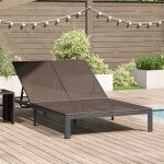 Transat 2 - personne marron 60 x 200 x 27cm polyrotin vidaxl
