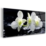 Tulup - tableau sur verre ? 100 x 50 cm - tableau mural dcoratif - verre dcorative - fleur d'orchide ...