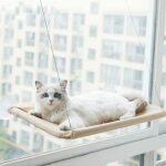 Tuserxln - hamac de fen�tre chat, chaise longue de fen�tre pour chat, chat de rebord de fen�tre transparent, ...