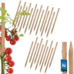 Tuteurs en bois kotarbau� pour tomates, l�gumes, jardin, tuteur pour arbustes, arbres, 25 cm, lot de ...