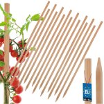 Tuteurs en bois kotarbau� pour tomates, l�gumes, jardin, tuteur pour arbustes, arbres, 60 cm, lot de ...