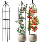 Tuteur de jardin 120 cm ob�lisque amovible - support pour plantes grimpantes - hauteur du treillis - ...