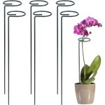 Tuteur plante 6 pi�ces support plante anneau m�tal jardin anneau de support pour les plantes fleurs l�gumes ...