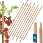 Tuteurs � tomates en bois kotarbau� pour potagers, tuteur pour arbres et arbustes 80 cm, lot de 10