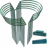 Tuteur pour végétaux 10x tuteurs pour plantes, piquets verts demi - ronds support plantes plante, aidez ... Tuteur pour végétaux 10x tuteurs pour plantes, piquets verts demi - ronds support plantes plante, aidez ...