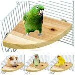 Ulisembird cage perchoir plateforme en bois en forme d'ventail aire de jeux pour perroquets cage accessoires ...