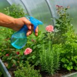 Vaporisateur boule 350ml avec buse r�glable pour plantes et nettoyage - couleur al�atoire