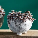 Vase c�ramique aux champignons 20x20x17cm